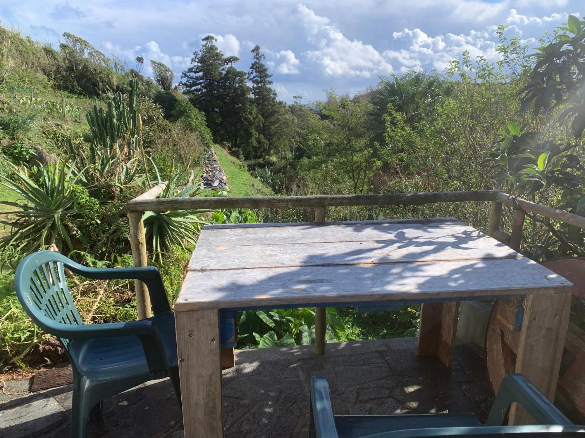 House With Forest View Lajes das Flores Dış mekan fotoğraf
